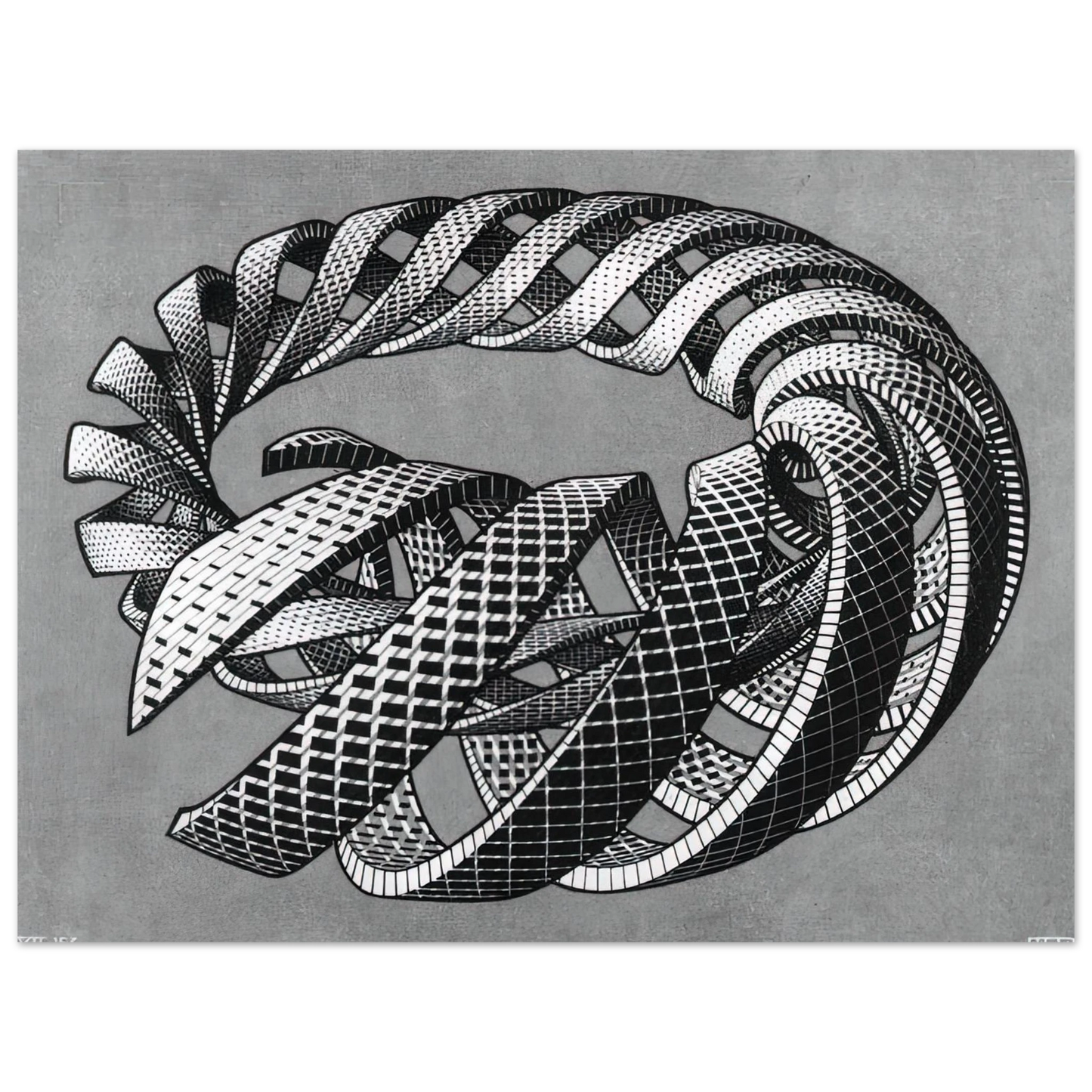 MC Escher - SPIRALS Wall Art - 30x40 cm / 12x16 inches - Fine Art Poster-canvas - -