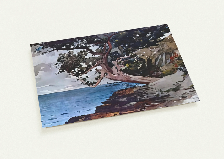 NORTH ROAD BERMUDA By Winslow Homer Pack of 10 Post Cards | Winslow Homer Post Cards | A6 (10.5 x 14.8 cm) - 4.1 x 5.8 inches