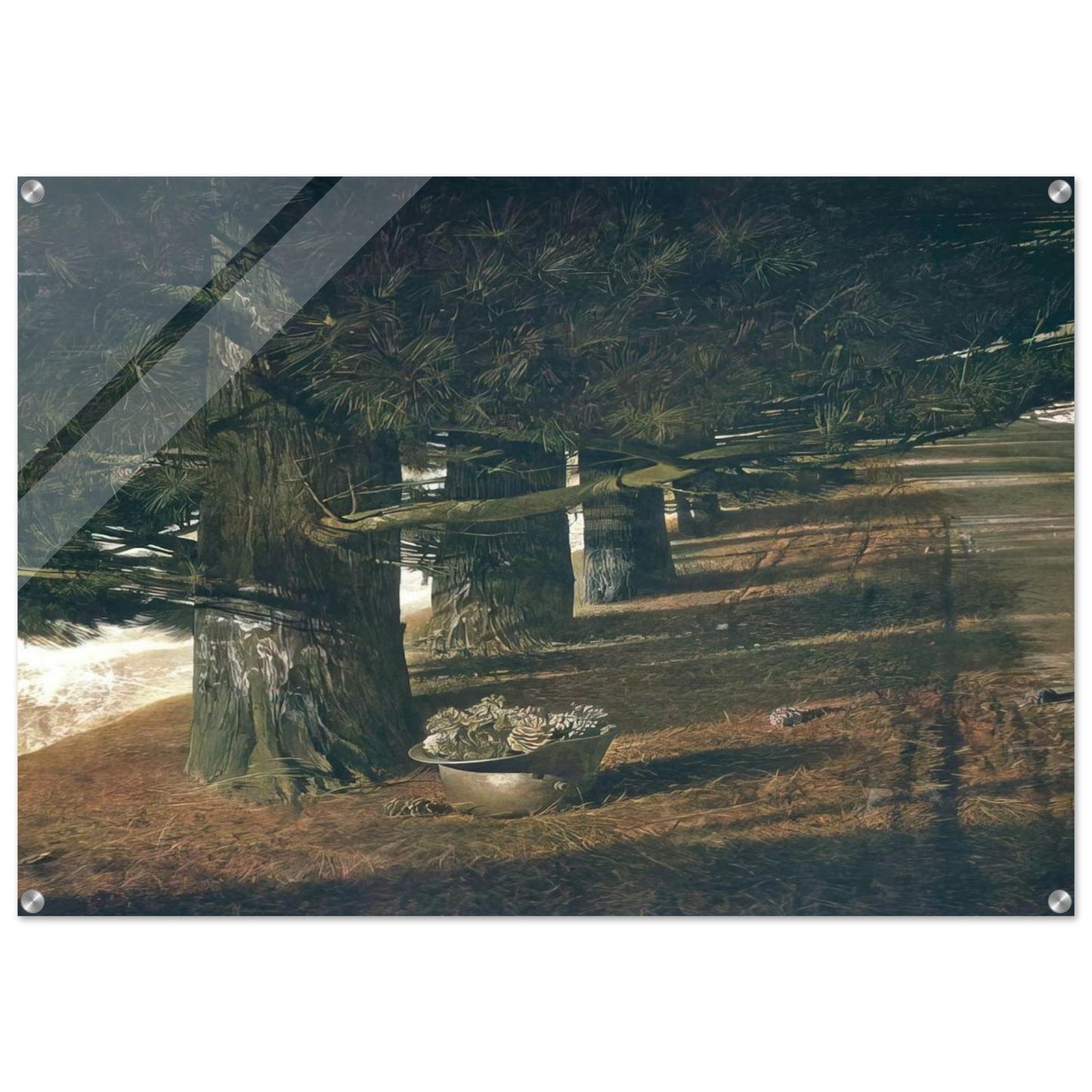 PINE BARON - Andrew Wyeth Acrylic Print - 70x100 cm / 28x40″ inches