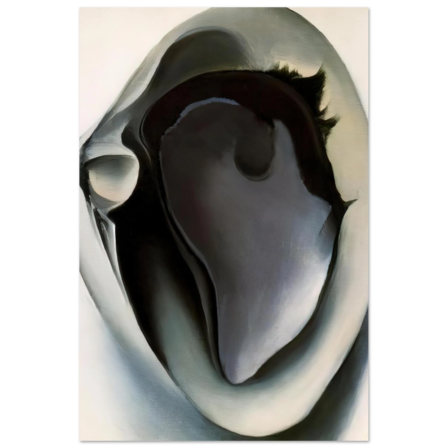 Georgia O'Keeffe - Clam and mussel Fine Art Poster