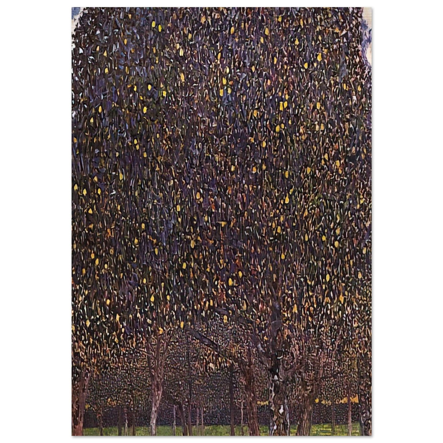 PEAR TREE 1903 - Gustav Klimt Brushed Aluminum Print - 70x100 cm / 28x40 inches | Gustav Klimt Aluminum Print | Gustav Klimt Prints