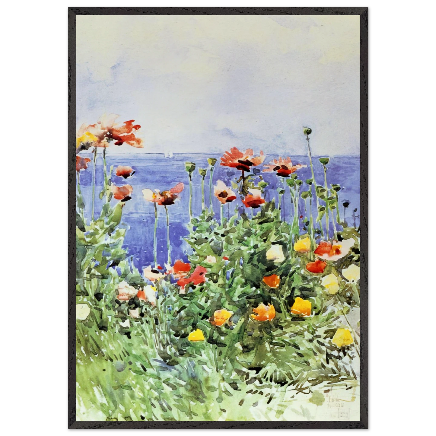 Poppies Isles of Shoals 02 - Childe Hassam 70x100 cm / 28x40 inches Framed Art Print – Black Wooden Frame
