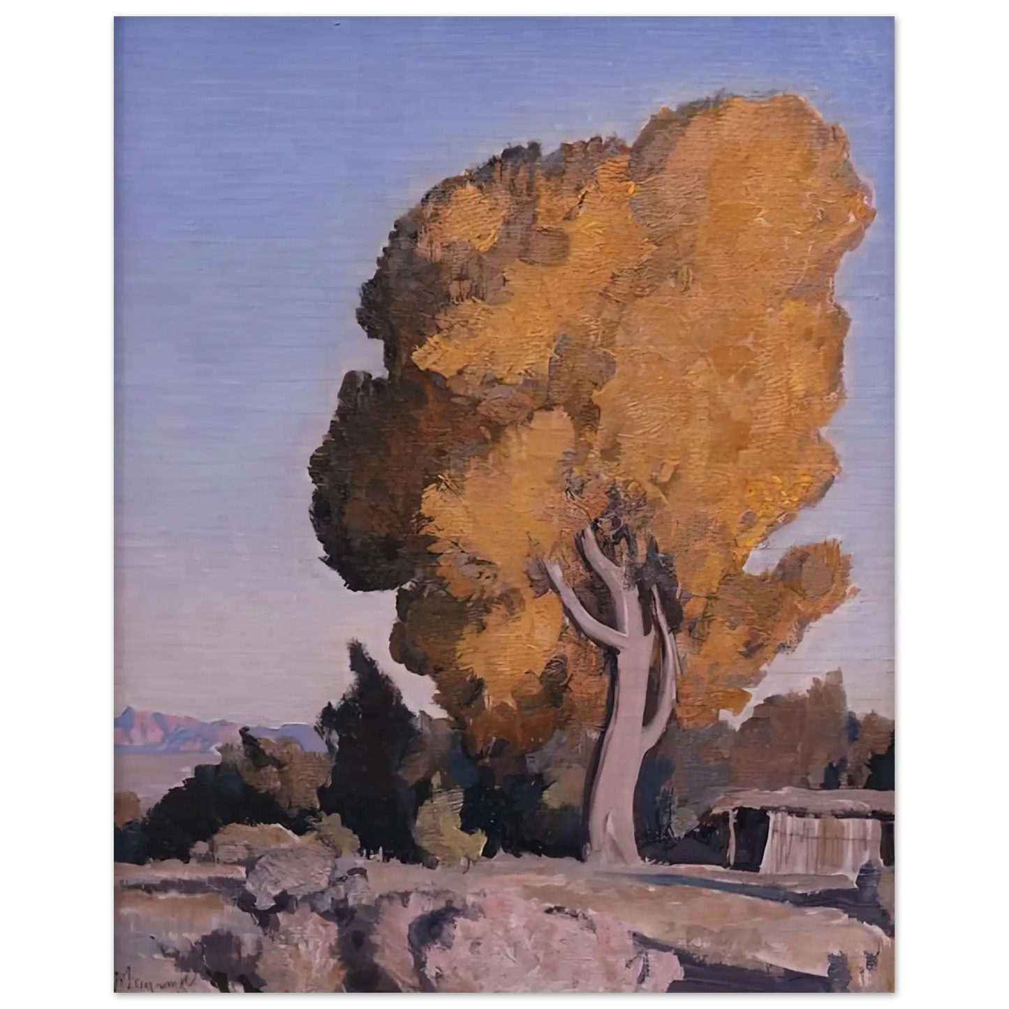 Maynard Dixon - LOW COUNTRY COTTONWOOD 1940 Wall art - 30x40 cm / 12x16 Inches - Premium Wooden Framed Poster With Fine Art Paper - White frame