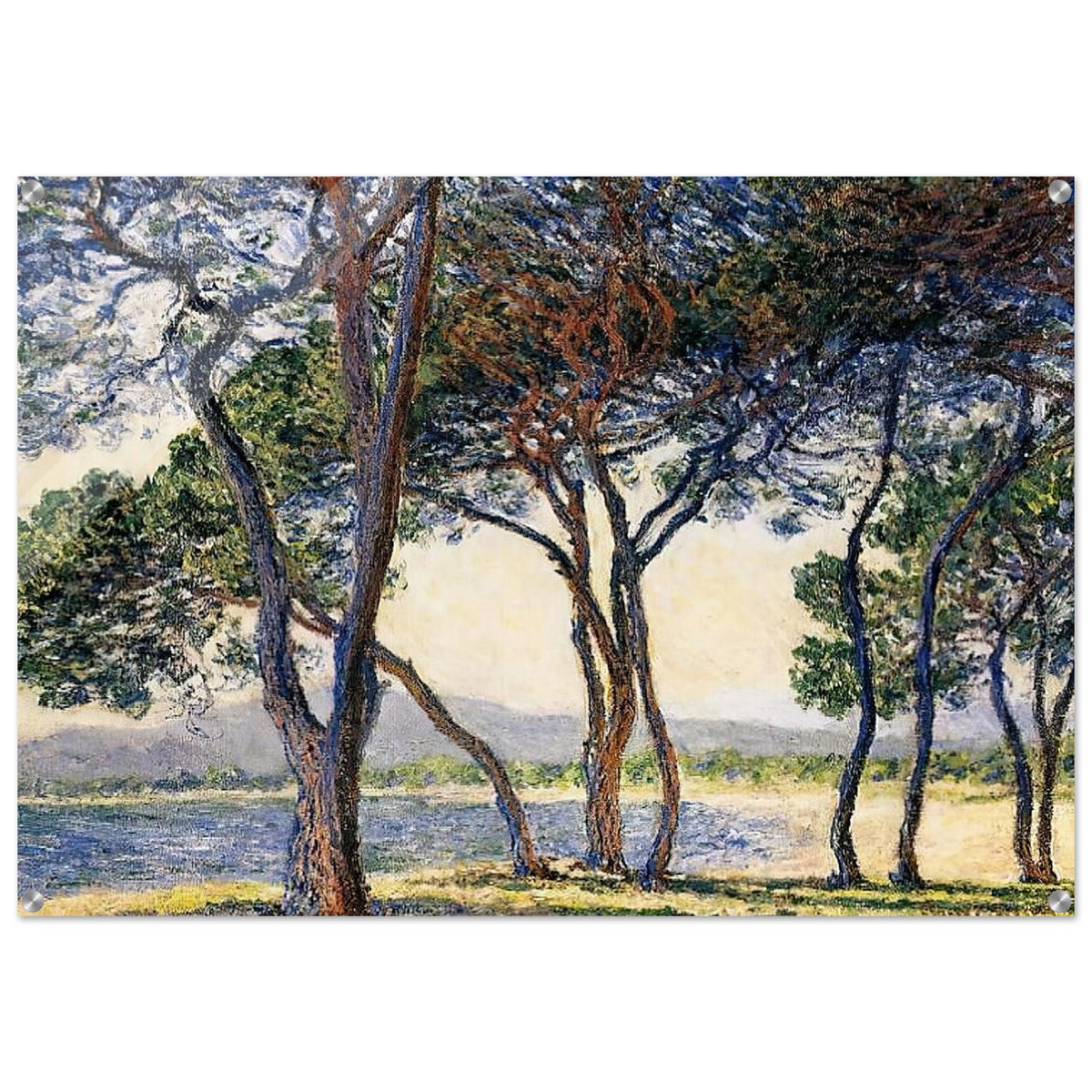 Trees by the Seashore at Antibes - claude monet Acrylic Print - 70x100 cm / 28x40″ inches