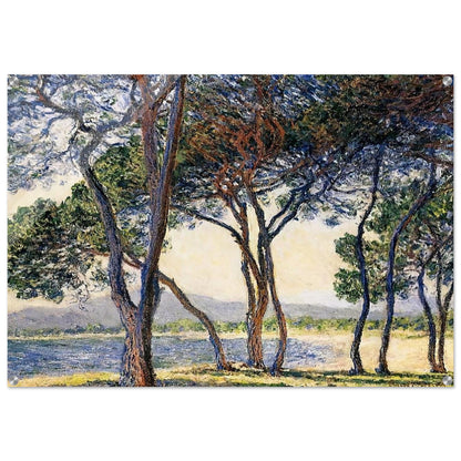 Trees by the Seashore at Antibes - claude monet Acrylic Print - 70x100 cm / 28x40″ inches