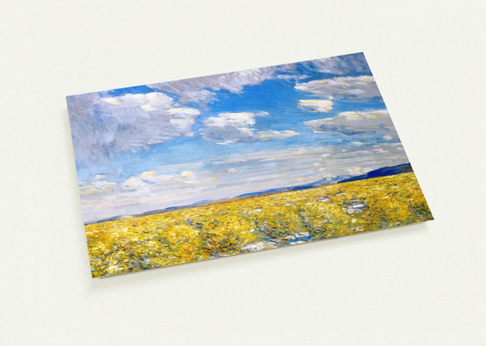 Afternoon Sky, Harney Desert By Childe Hassam Pack of 10 Post Cards | Childe Hassam Post Cards | A6 (10.5 x 14.8 cm) - 4.1 x 5.8 inches