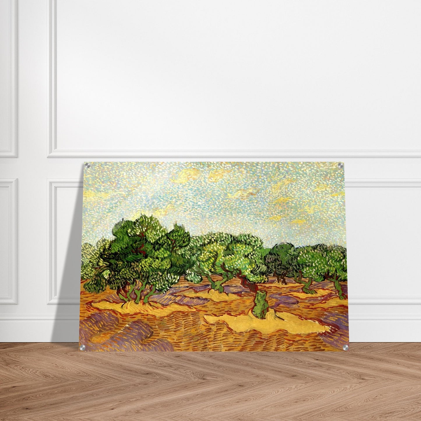 Olive Grove - Pale Blue Sky - Vincent van Gogh Acrylic Print - 70x100 cm / 28x40″ inches | Vincent van Gogh Wall Art | Vincent van Gogh Prints