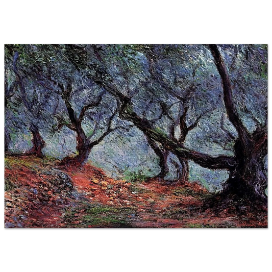 Grove of Olive Trees in Bordighera - claude monet Brushed Aluminum Print - 70x100 cm / 28x40 inches | claude monet Aluminum Print | claude monet Prints