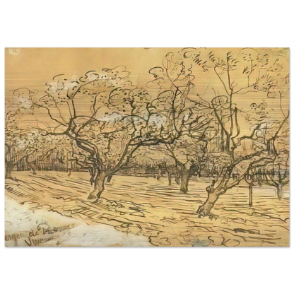 Orchard with Blossoming Plum Trees The White Orchard - Vincent van Gogh Brushed Aluminum Print - 70x100 cm / 28x40 inches | Vincent van Gogh Aluminum Print | Vincent van Gogh Prints