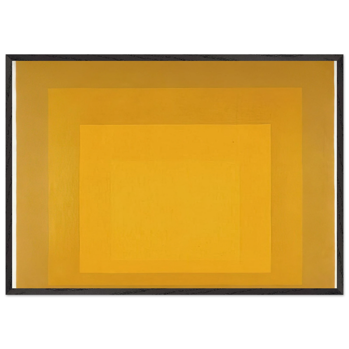 STUDY FOR HOMAGE TO THE SQUARE DEPARTING IN YELLOW 1964 - Josef Albers 70x100 cm / 28x40 inches Framed Art Print – Black Wooden Frame