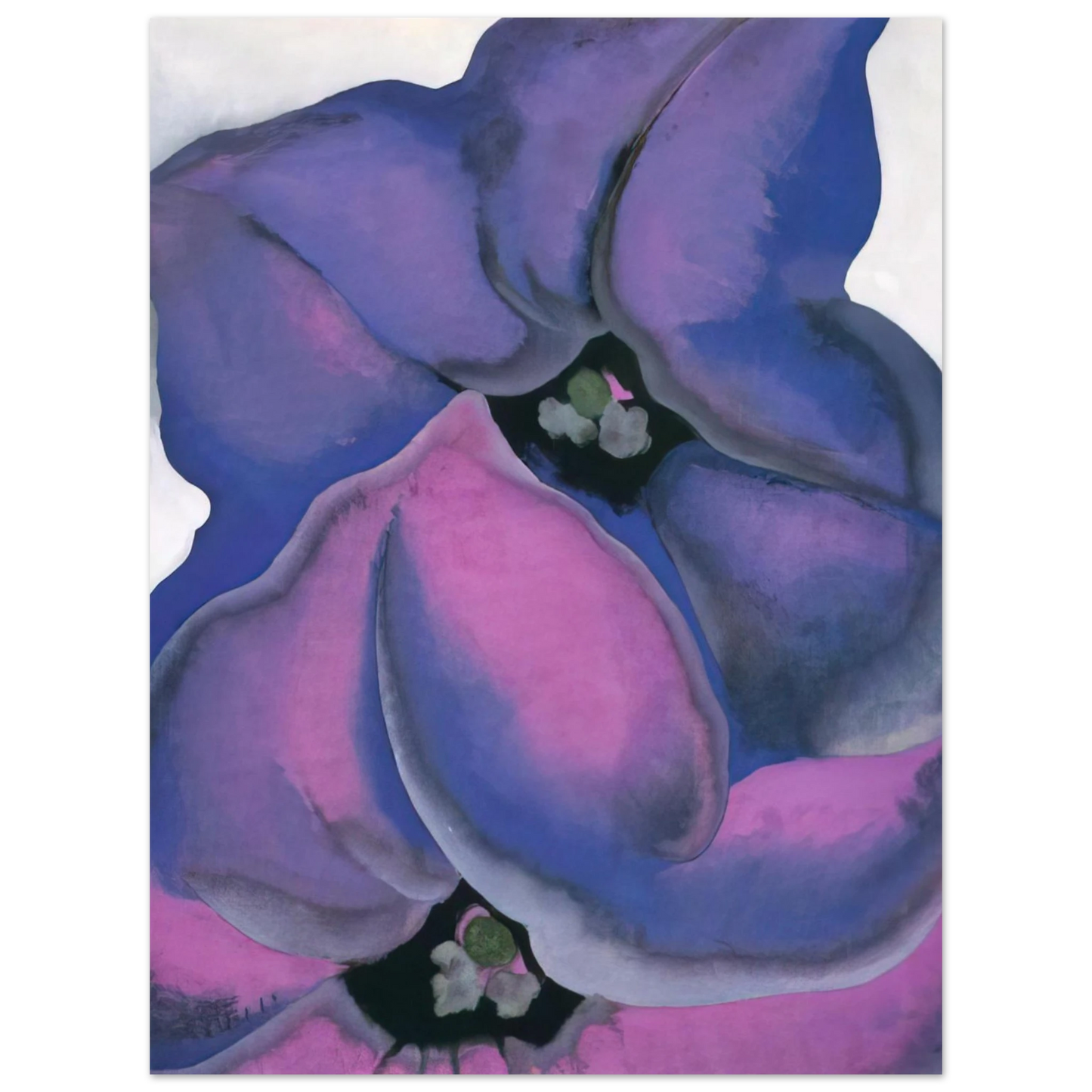 Georgia O'Keeffe - Purple Petunias Fine Art Poster