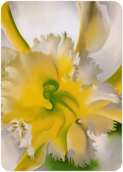 An Orchid By Georgia O'Keeffe Pack of 10 Post Cards | Georgia O'Keeffe Post Cards | A6 (10.5 x 14.8 cm) - 4.1 x 5.8 inches
