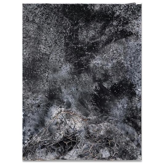 Anselm Kiefer - THE SECRET LIFE OF PLANTS FOR ROBERT FLUDD 2014  75x100 cm / 30x40inches Fine Art Poster