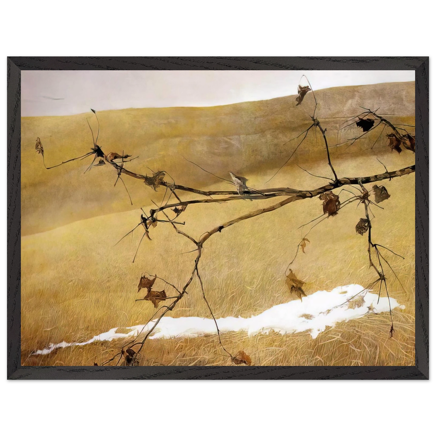 Andrew Wyeth - LONG LIMB Wall Art - 60x80 cm / 24x32 inches - Premium Wooden Framed Poster With Fine Art Paper - White frame