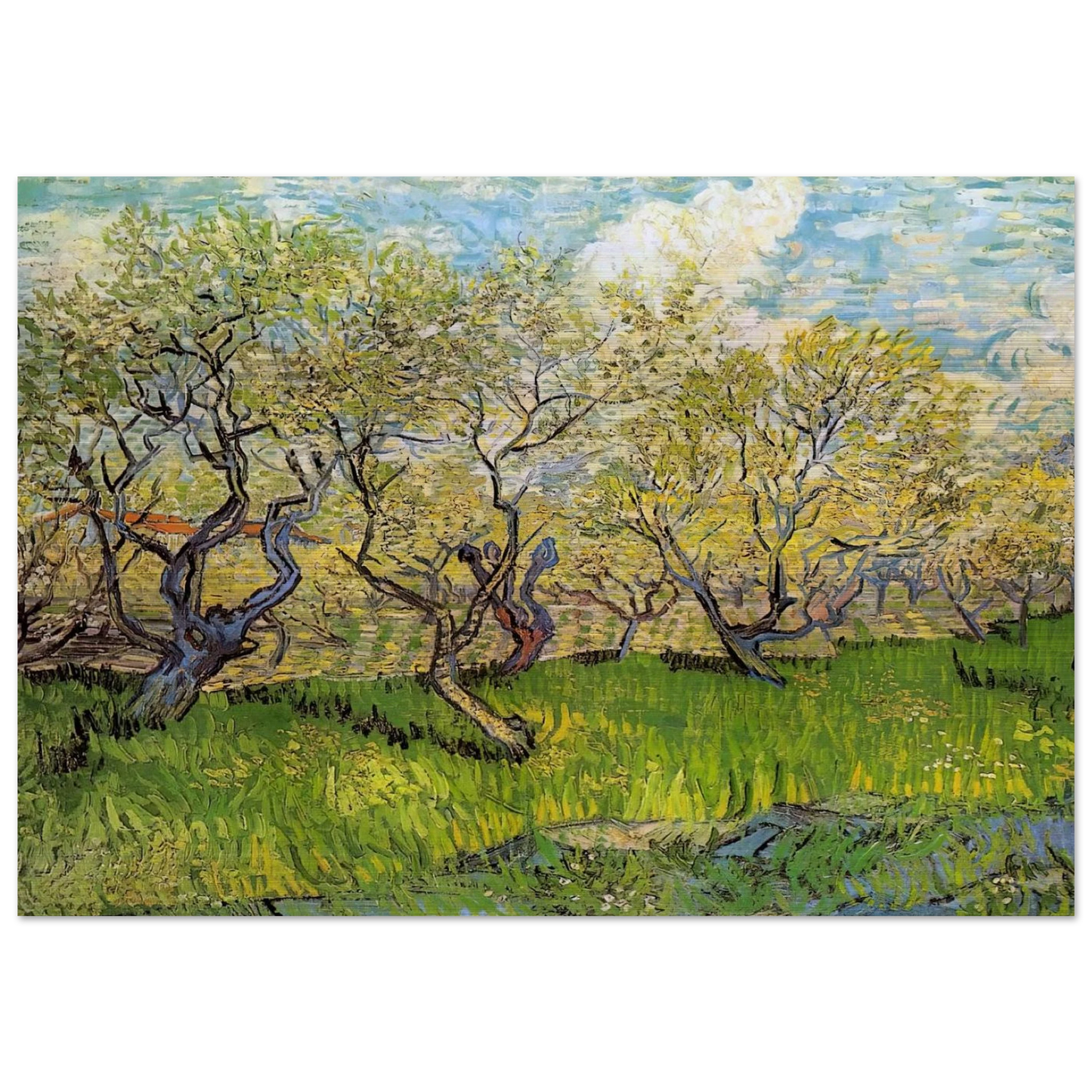 Orchard in Blossom - Vincent van Gogh Brushed Aluminum Print - 70x100 cm / 28x40 inches | Vincent van Gogh Aluminum Print | Vincent van Gogh Prints