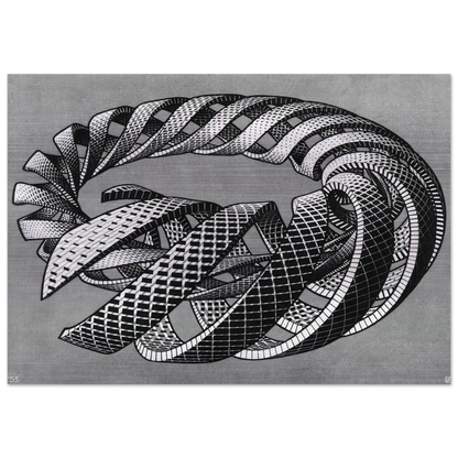 SPIRALS - MC Escher Brushed Aluminum Print - 70x100 cm / 28x40 inches | MC Escher Aluminum Print | MC Escher Prints