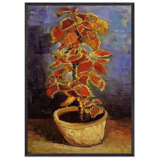 Coleus Plant in a Flowerpot - Vincent van Gogh 70x100 cm / 28x40 inches Framed Art Print – Black Wooden Frame