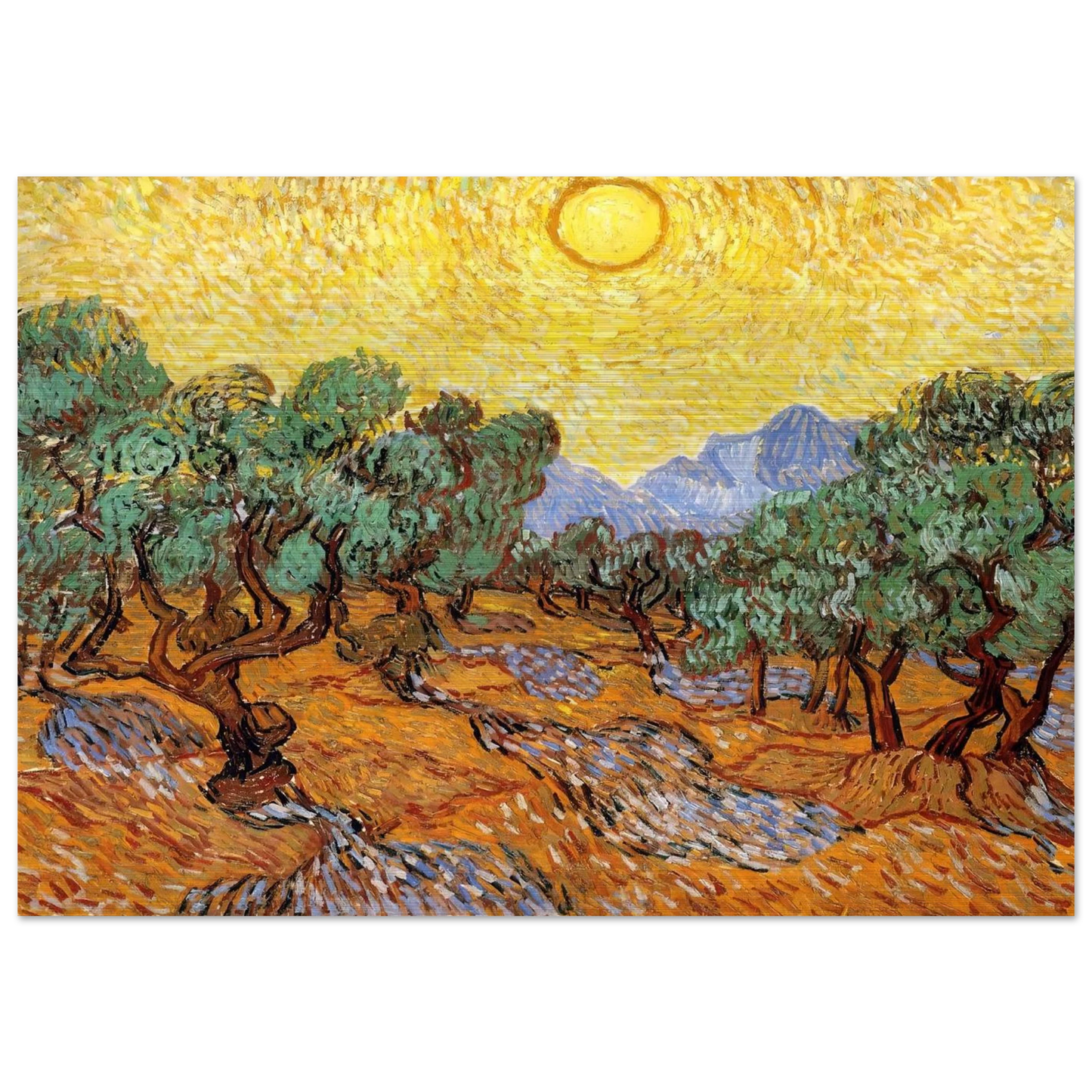 Olive Trees with Yellow Sky and Sun - Vincent van Gogh Brushed Aluminum Print - 70x100 cm / 28x40 inches | Vincent van Gogh Aluminum Print | Vincent van Gogh Prints