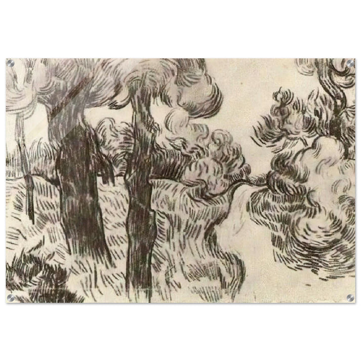 Path between Pine Trees - Vincent van Gogh Acrylic Print - 70x100 cm / 28x40″ inches | Vincent van Gogh Wall Art | Vincent van Gogh Prints