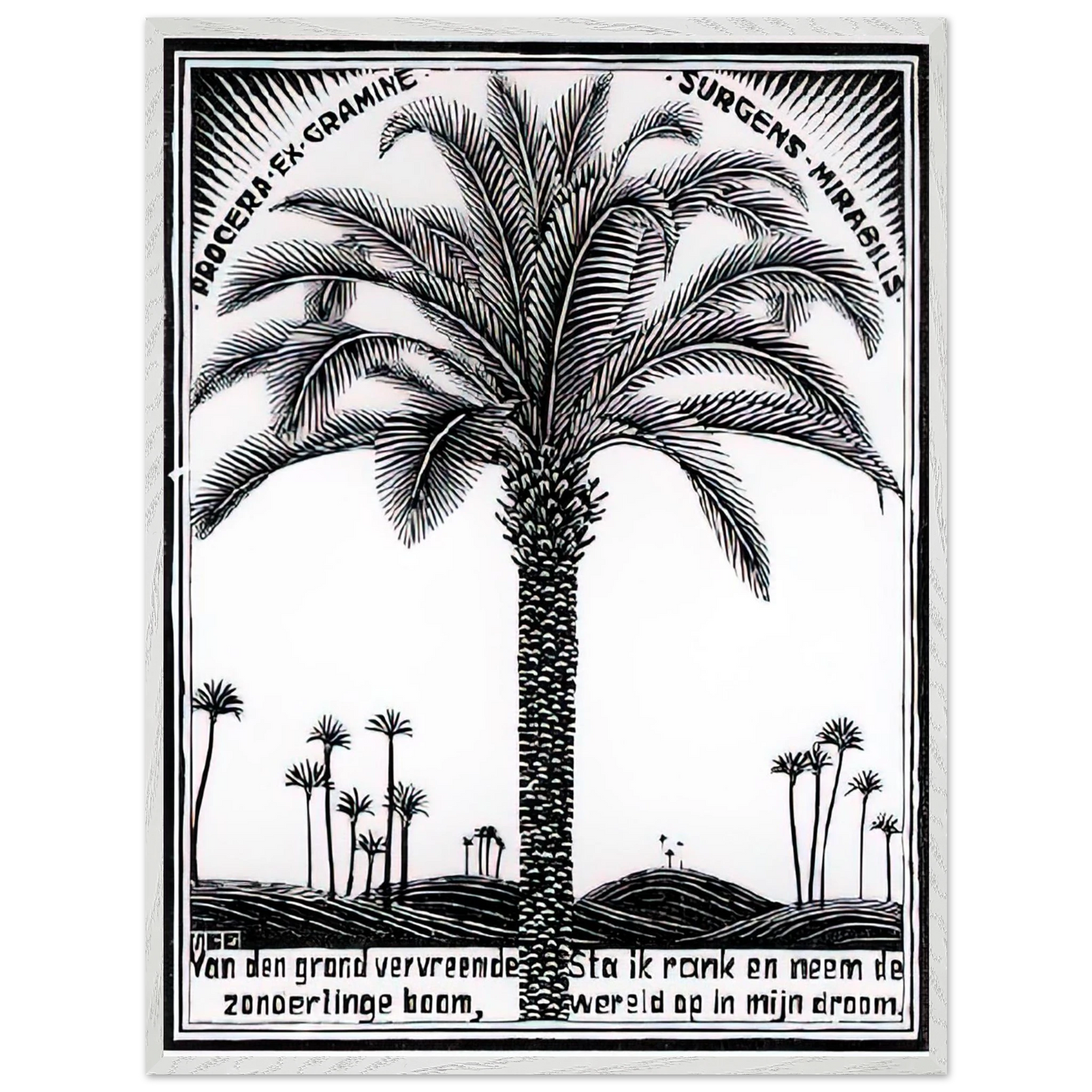 MC Escher - PALM TREE 1 Wall Art - 30x40 cm / 12x16 inches - Fine Art Poster-canvas - -