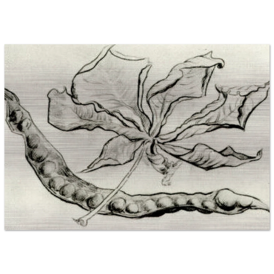 Dead Leaf and Pod - Vincent van Gogh Brushed Aluminum Print - 70x100 cm / 28x40 inches | Vincent van Gogh Aluminum Print | Vincent van Gogh Prints
