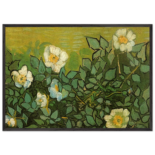 Wild Roses - Vincent van Gogh 70x100 cm / 28x40 inches Framed Art Print – Black Wooden Frame