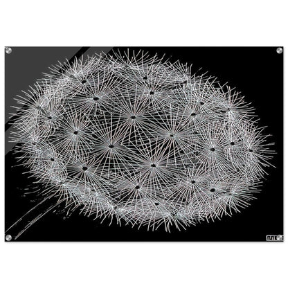 BLOWBALL II - MC Escher Acrylic Print - 70x100 cm / 28x40″ inches | Maurits Cornelis Escher Prints