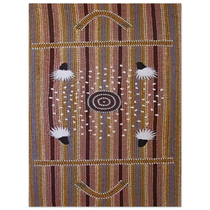 Clifford Possum Tjapaltjarri - Bush Plum Dreaming - Native Art  75x100 cm / 30x40inches Fine Art Poster