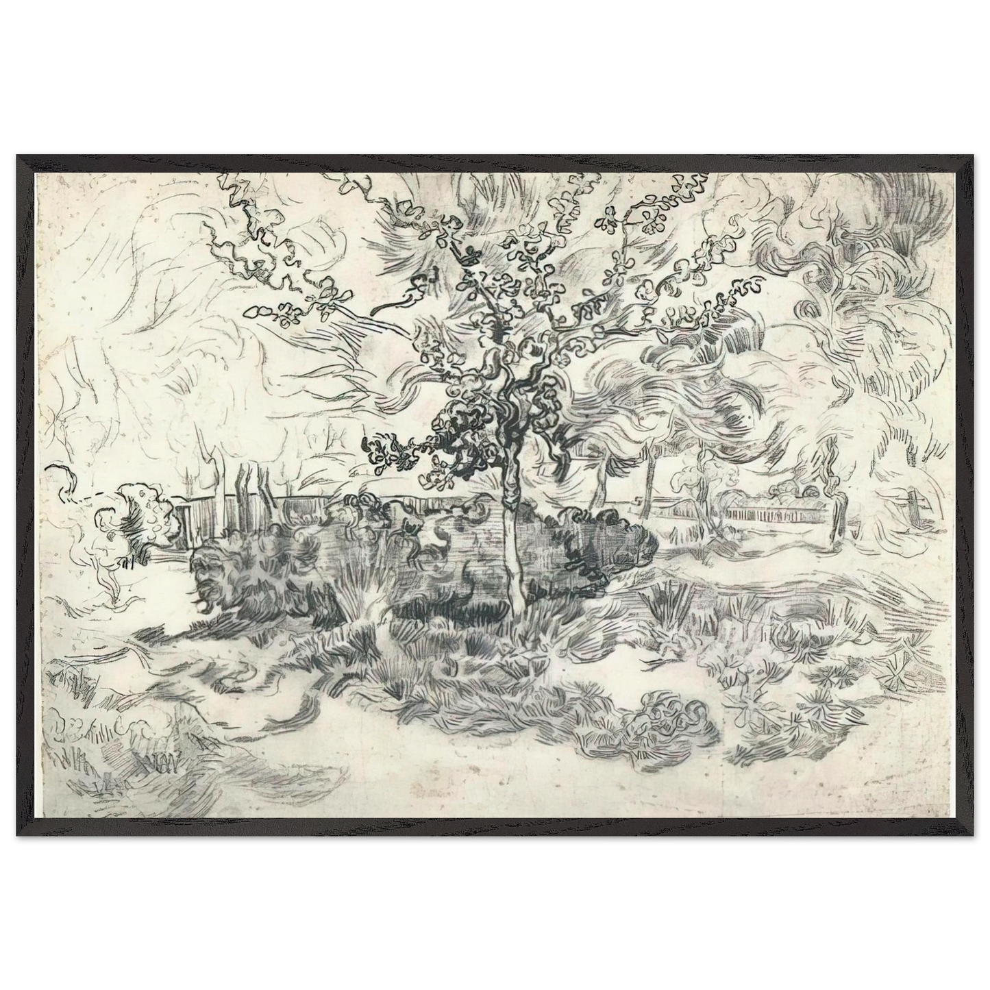 Garden of the Asylum - Vincent van Gogh 70x100 cm / 28x40 inches Framed Art Print – Black Wooden Frame