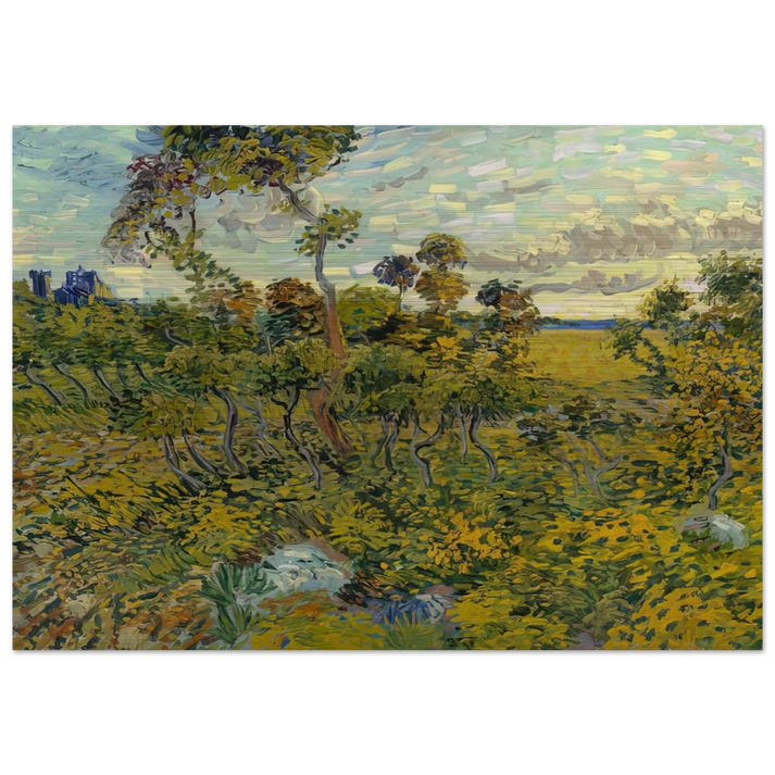 Sunset at Montmajour - Vincent van Gogh Brushed Aluminum Print - 70x100 cm / 28x40 inches | Vincent van Gogh Aluminum Print | Vincent van Gogh Prints