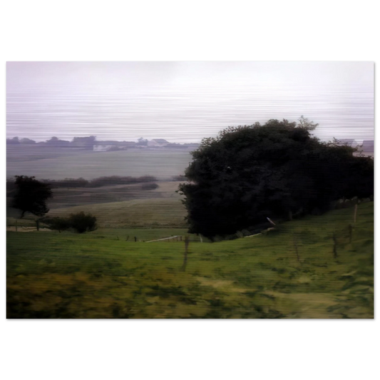 MEADOWLAND - Gerhard Richter Brushed Aluminum Print - 70x100 cm / 28x40 inches | Gerhard Richter Aluminum Print | Gerhard Richter Prints