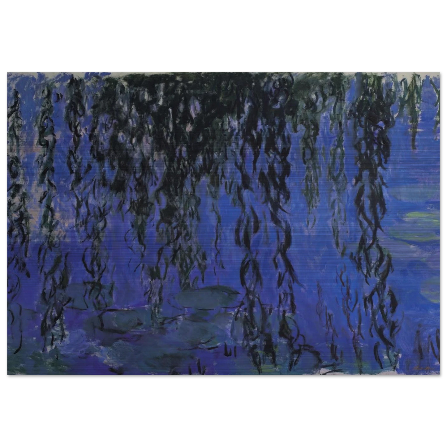 Water Lilies and Weeping Willow Branches - claude monet Brushed Aluminum Print - 70x100 cm / 28x40 inches | claude monet Aluminum Print | claude monet Prints