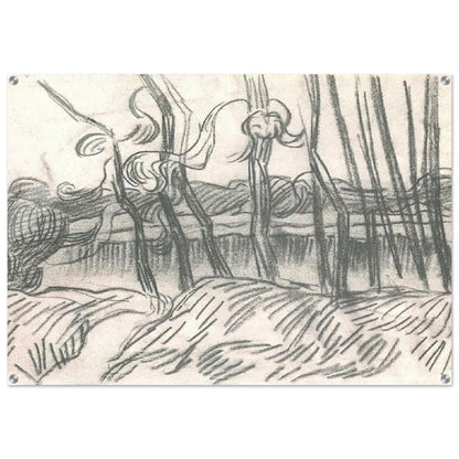 A Row of Bare Trees - Vincent van Gogh Acrylic Print - 70x100 cm / 28x40″ inches