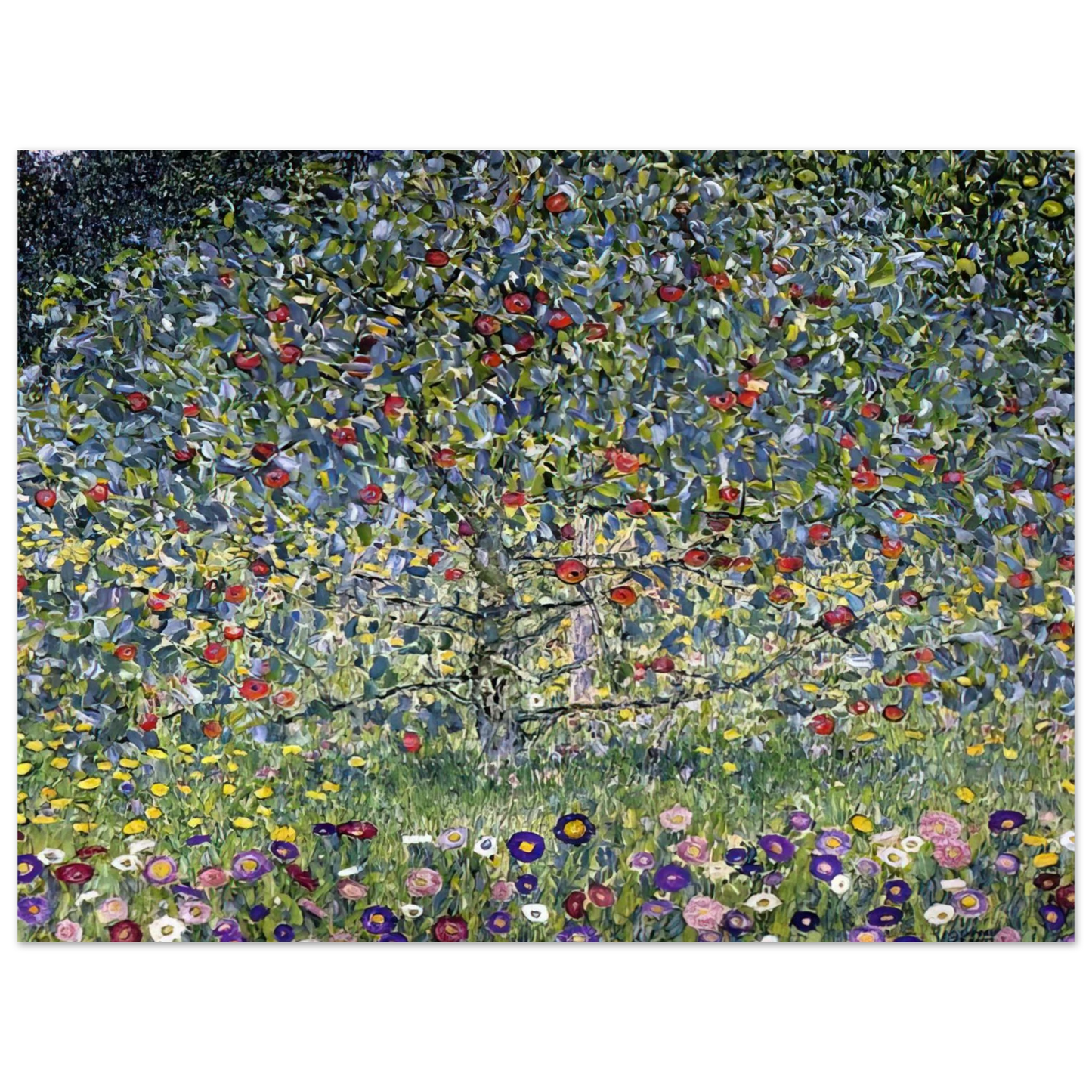Gustav Klimt - APPLE TREE I  75x100 cm / 30x40inches Fine Art Poster
