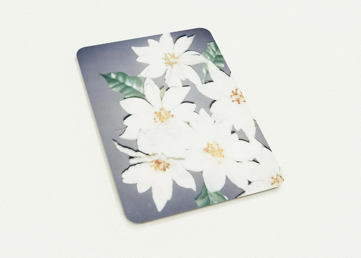 Christmas Poinsettias-White By Andy Warhol Pack of 10 Post Cards | Andy Warhol Post Cards | A6 (10.5 x 14.8 cm) - 4.1 x 5.8 inches