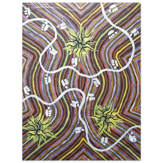 Clifford Possum Tjapaltjarri - Possum Country - 1995  75x100 cm / 30x40inches Fine Art Poster