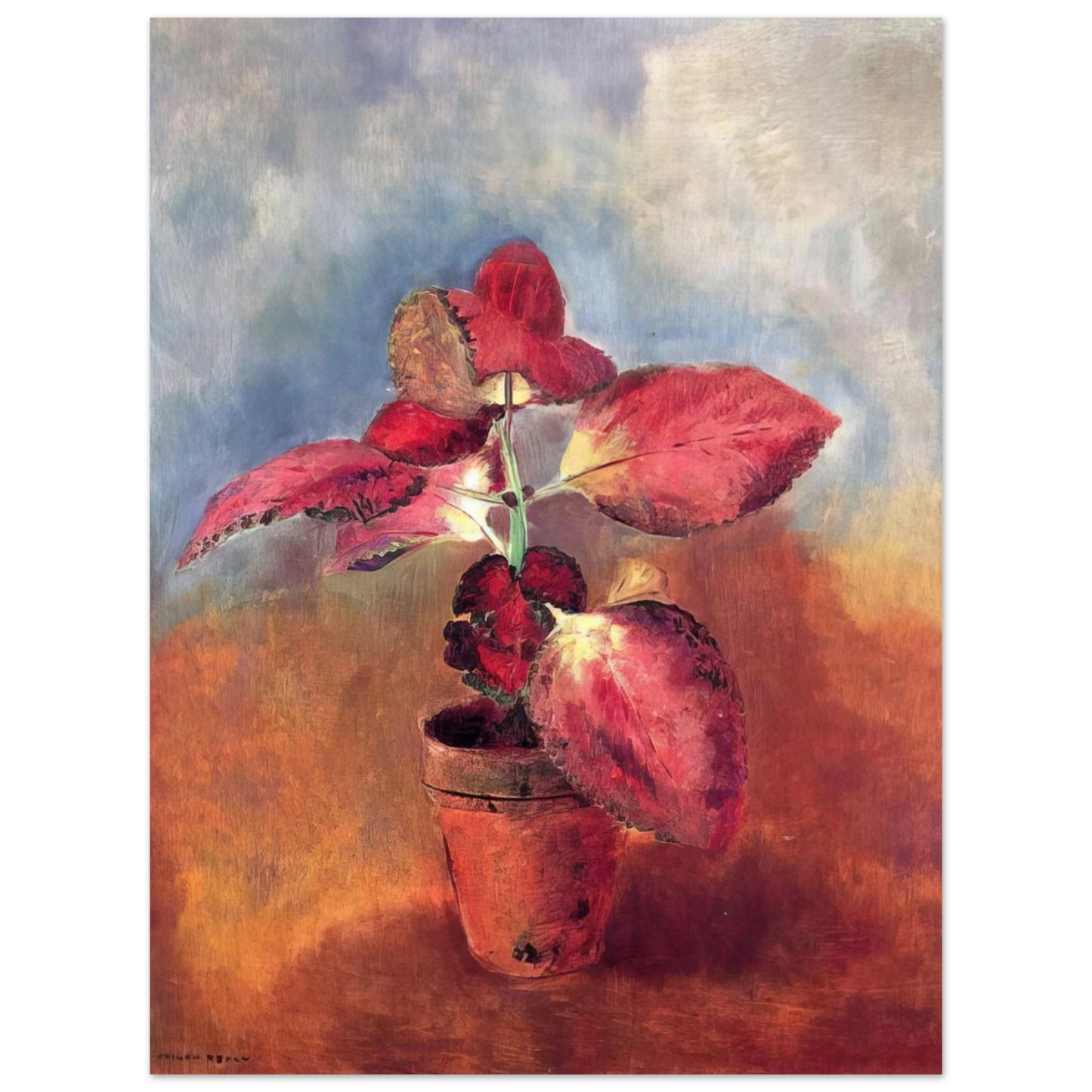 Odilon Redon - BEGONIA IN A POT  75x100 cm / 30x40inches Fine Art Poster