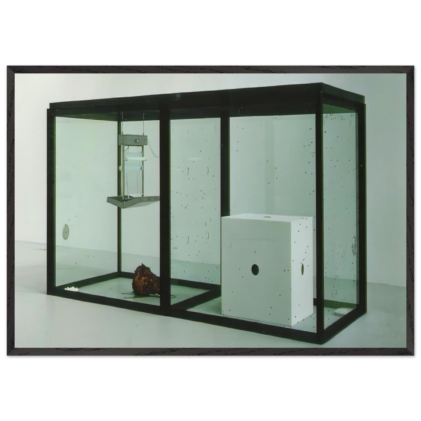 A THOUSAND YEARS - Damien Hirst 70x100 cm / 28x40 inches Framed Art Print – Black Wooden Frame