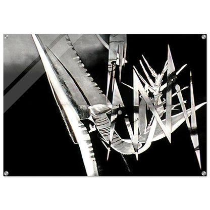The Prickly Dark - James Rosenquist Acrylic Print - 70x100 cm / 28x40″ inches