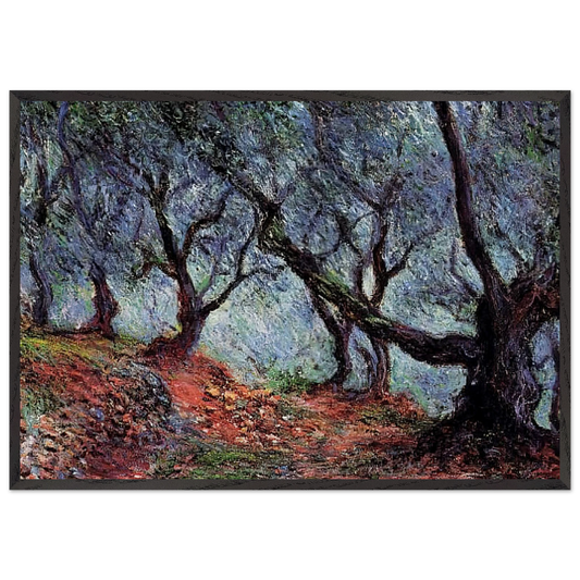 Grove of Olive Trees in Bordighera - claude monet 70x100 cm / 28x40 inches Framed Art Print – Black Wooden Frame
