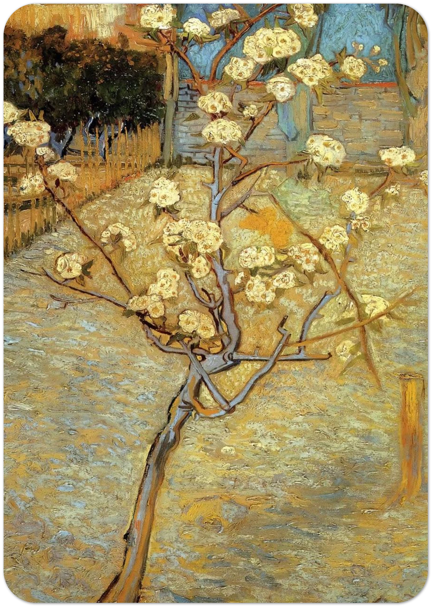 Pear Tree in Blossom By Vincent van Gogh Pack of 10 Post Cards | Vincent van Gogh Post Cards | A6 (10.5 x 14.8 cm) - 4.1 x 5.8 inches