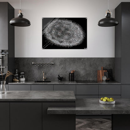 BLOWBALL II - MC Escher Acrylic Print - 70x100 cm / 28x40″ inches | Maurits Cornelis Escher Prints
