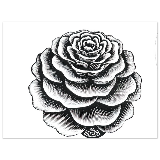 MC Escher - FLOWER 1 Wall Art - 21x29.7 cm / 8x12" - Fine Art Poster-canvas - -