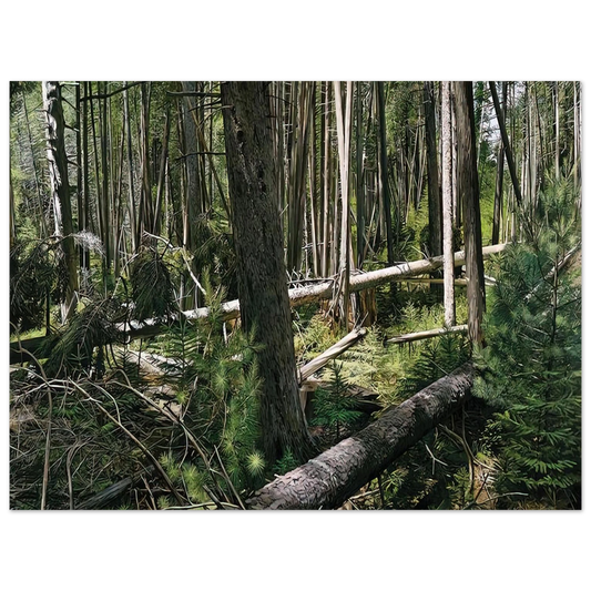Richard Estes - NEAR HUNTERS BEACH ACADIA NATIONAL PARK 2008  75x100 cm / 30x40inches Fine Art Poster
