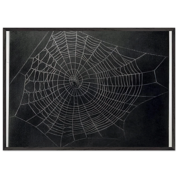 UNTITLED SPIDER WEB 2000 - Vija Celmins 70x100 cm / 28x40 inches Framed Art Print – Black Wooden Frame