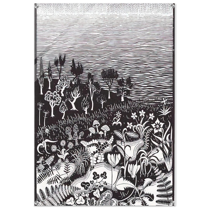 THE 3RD DAY OF THE CREATION - MC Escher Acrylic Print - 70x100 cm / 28x40″ inches | Maurits Cornelis Escher Prints