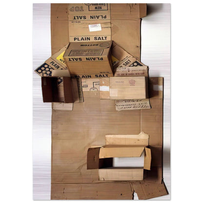 PLAIN SALT CARDBOARD 1971 - Robert Rauschenberg Brushed Aluminum Print - 70x100 cm / 28x40 inches | Robert Rauschenberg Aluminum Print | Robert Rauschenberg Prints