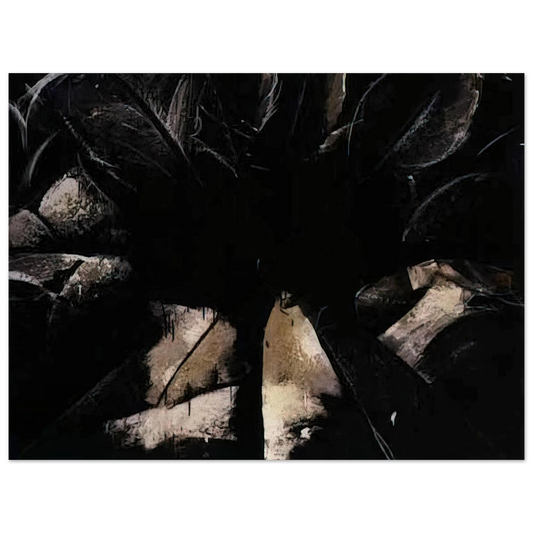 Jay DeFeo - Jay DeFeo/BIG/Cabbage Rose  75x100 cm / 30x40inches Fine Art Poster