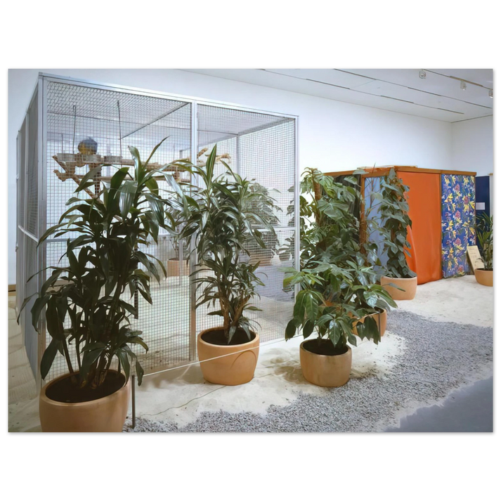 Helio Oiticica - TropicÃƒÂ¡lia, Penetrables PN 2 'Purity is a myth' and PN 3 'Imagetical'  75x100 cm / 30x40inches Fine Art Poster