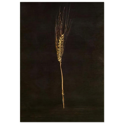 WHEAT EAR - Salvador Dali Brushed Aluminum Print - 70x100 cm / 28x40 inches | Salvador Dali Aluminum Print | Salvador Dali Prints